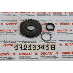 Ingranaggio condotto Z24 4ª...