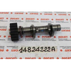 Albero distribuzione...