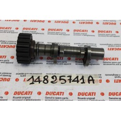 Albero distribuzione...