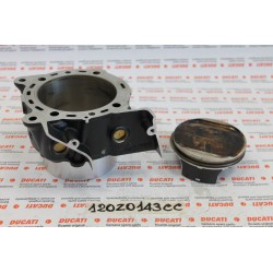 Canna-pistone verticale...