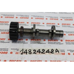 Albero distribuzione...