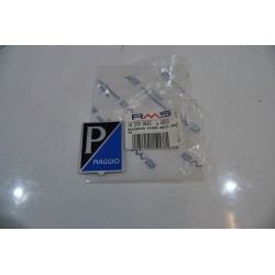 Targhetta Stemma scudetto...