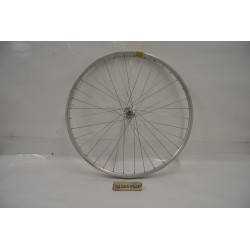 Cerchio posteriore in...