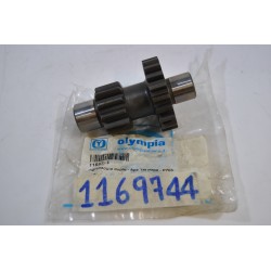 Ingranaggio duplo...