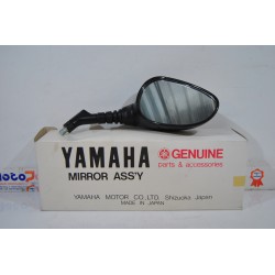 Specchietto dx Rearview...