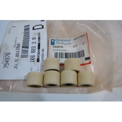 Kit 6 rulli variatore...