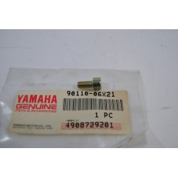 Vite motorino avviamento...