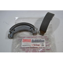 Ganasce freno posteriore...