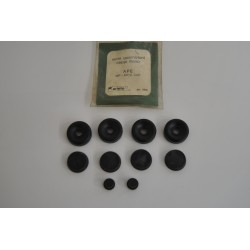 Serie guarnizioni ceppi...