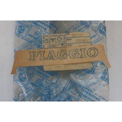 Adesivo carena scudo Front...