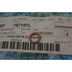 Rondella guarnizione vite...