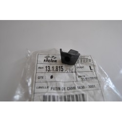 Pattino camma puleggia...