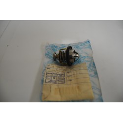 Termostato acqua Water...