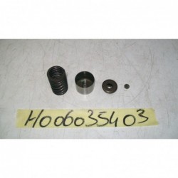 Arredo montaggio valvole furniture fitting valves Honda Hornet 900 02 06