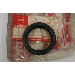 Paraolio forcella...