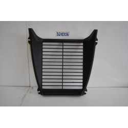 Griglia radiatore Radiator...