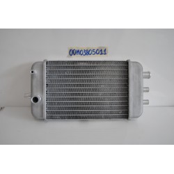 Radiatore Radiator Derbi...