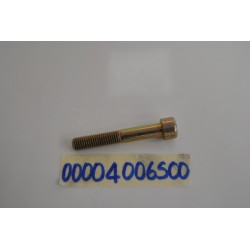 Vite Perno Bullone 10M...