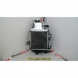 Radiatore acqua Water Radiator Kuhlerlufter Honda sh 150 i 13 16