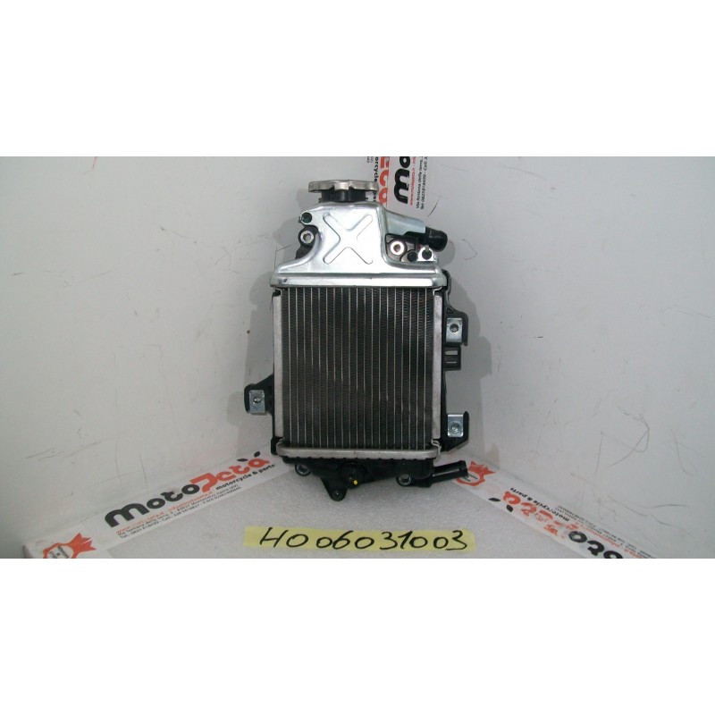 Radiatore acqua Water Radiator Kuhlerlufter Honda sh 150 i 13 16