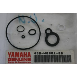 Kit guarnizioni carburatore...