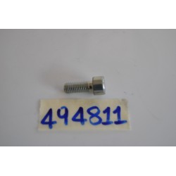 Vite forcella anteriore...