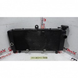 Radiatore acqua Water Radiator Kuhlerlufter Honda Hornet 600 99 02
