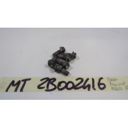 Bulloni dischi freno...