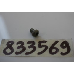 Vite esagonale M6X10...