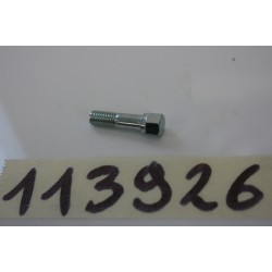 Vite Perno carburatore 6X20...