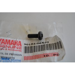 Vite freccia Blinker screw...