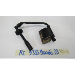 Bobina accensione Ignition...