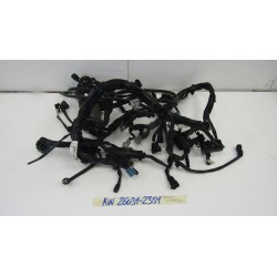 Impianto elettrico Wiring...