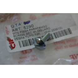 Vite parafango CIF Fender...