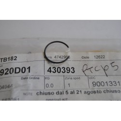 Fermo spinotto pistone...