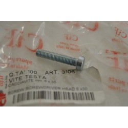 Vite 6X30 incavo a taglio...