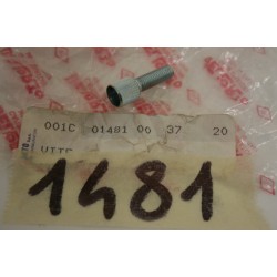 Vite registro cavo gas...