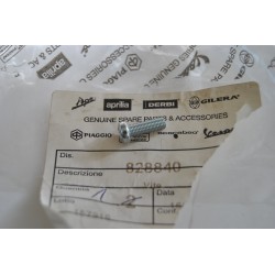 Vite carburatore Carburetor...