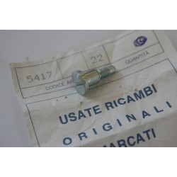 Vite perno valvola aria...