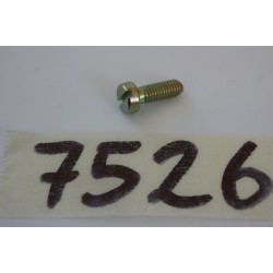 Vite coperchio carburatore...