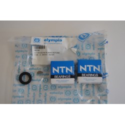 Kit revisione albero motore...