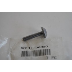Vite parafango Fender screw...