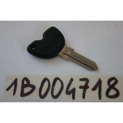 Chiave grezza vergine Blank...