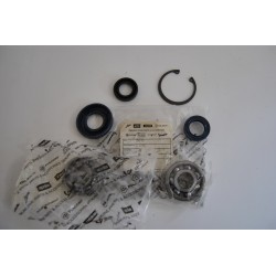 Kit paraoli e cuscinetti...