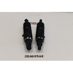 Coppia Ammortizzatori...