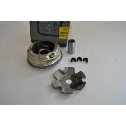 Variatore Variator Driving...