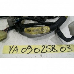 Impianto elettrico electric system Yamaha YZF 1000 r thunderace 96 03
