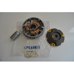 Variatore Variator Driving...