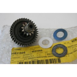 Albero rinvio Shaft pin...