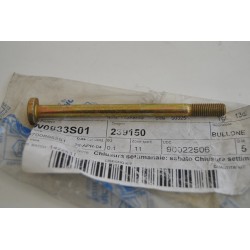 Vite Bullone carter Screw...
